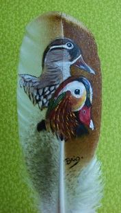 peinture sur plumes